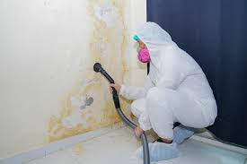 Best Mold Removal for HVAC Installations  in Hillcrest Heights, MD